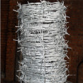 Hight Quality Silver Green Barbed Wire Fence